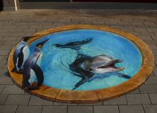 London Aquarium 3d Street Art