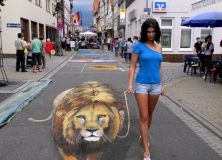 Berlin Zoo 3d Street Art