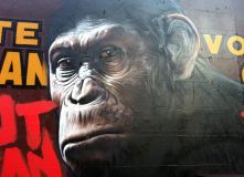 Photorealistic Graffiti Art