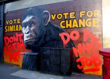 Rise of the planet of the apes film, Graffiti Glasgow